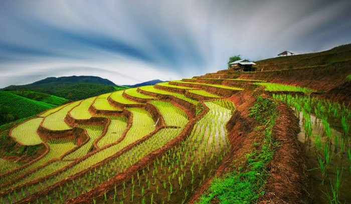 Ảnh: báo Nghệ An