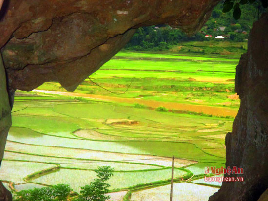 Thung lũng lúa nước ở xã Quang Phong (Quế Phong). Ảnh: báo Nghệ An