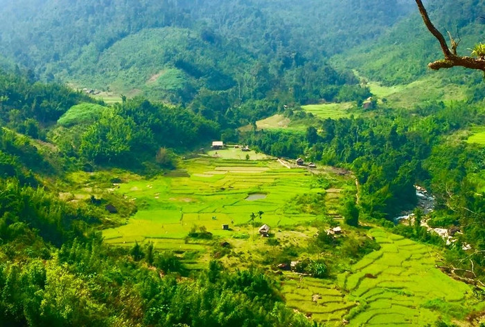 Ảnh: báo Dân Trí