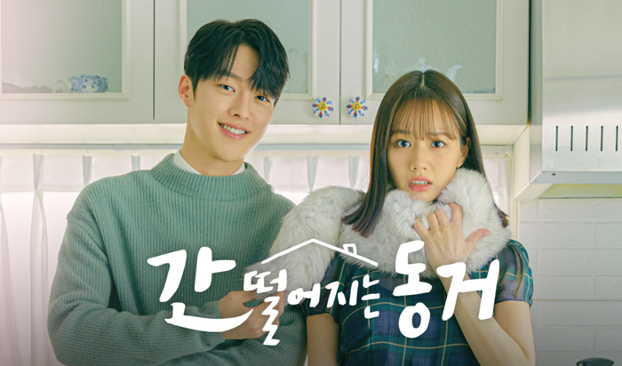 Nếu muốn tìm một bộ phim kết hợp giữa tình yêu và yếu tố giả tưởng, My Roommate Is a Gumiho là lựa chọn đáng cân nhắc. Ảnh: TvN