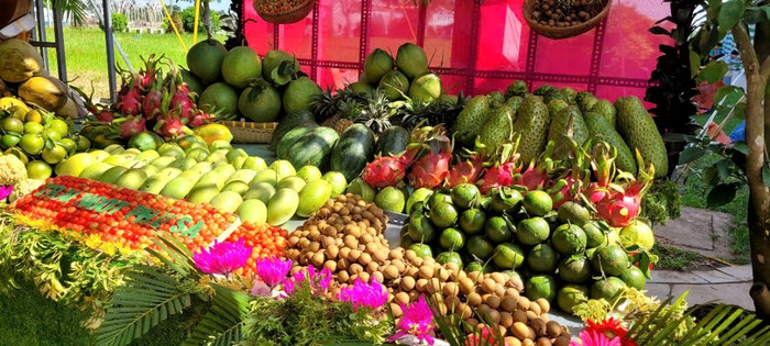 Những loại trái cây ở miền Tây. Ảnh: VOV