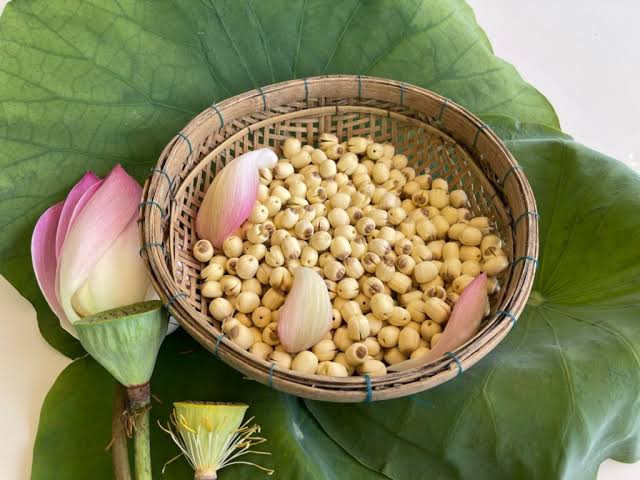 Hạt sen Đồng Tháp.