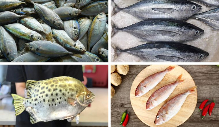 3 loại thực phẩm nên ăn thường xuyên khi vào mùa thu Ảnh 3