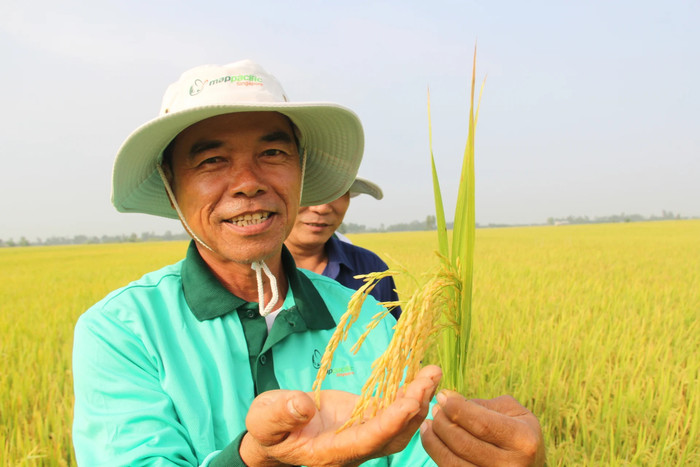 Người dân Đồng Tháp vô cùng dễ mến, thân tình. Ảnh minh họa/Nguồn: báo Dân Việt