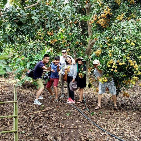 Du khách tham quan vườn chôm chôm. Ảnh: vinhlongtourism.vn
