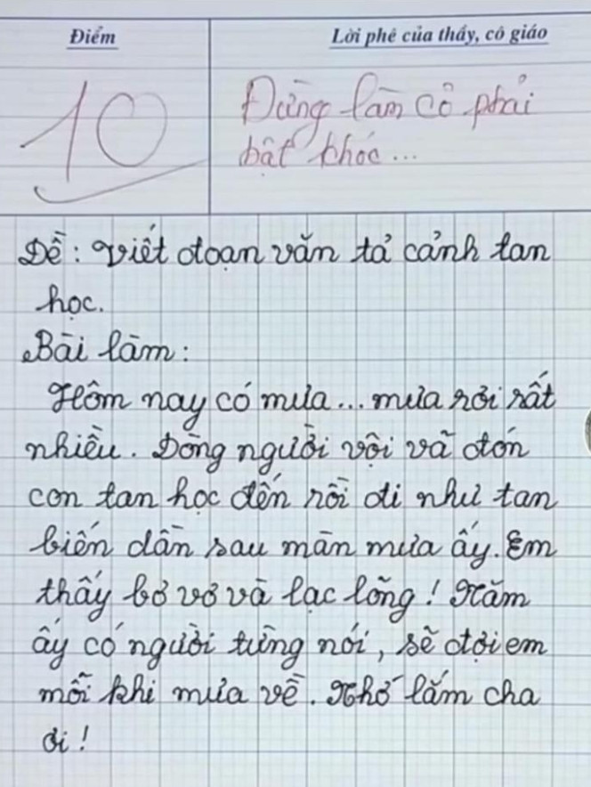 Bài văn tiểu học đạt điểm 10, gây xúc động cho người chấm bài.