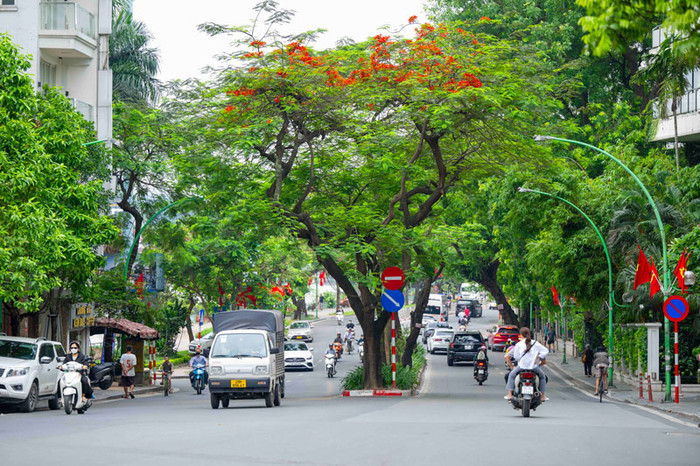 Đường Thanh Niên mát mắt, mang lại không khí trong lành, dễ chịu. Ảnh: tayho360