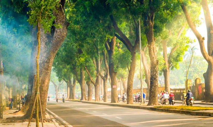 Đường Hoàng Diệu màu thu đẹp nên thơ. Ảnh: wecheckin.vn