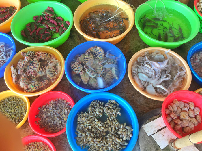 Bãi biển mang vẻ đẹp khác biệt ở quê Hồ Văn Cường Ảnh 9