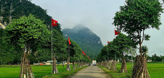 Tuyến đường vào xã Môn Sơn - Con Cuông nơi có chi bộ Đảng đầu tiên miền Tây xứ Nghệ với hai hàng cây xanh và cờ Tổ quốc. Ảnh: báo Nghệ An