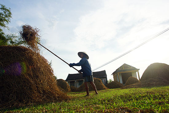 Người xứ Quảng nổi tiếng là giản dị, chân thành. Ảnh minh họa/Nguồn: báo Đà Nẵng