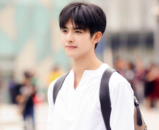 Top phim Hoa ngữ có nam chính 'cờ xanh' được yêu thích nhất Ảnh 6