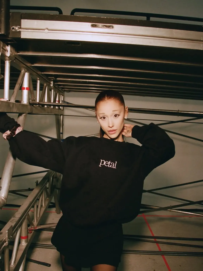 Ariana Grande tiếp tục thu hút sự quan tâm của người hâm mộ khi âm thầm bấm 'thích' một bài đăng trên Instagram.