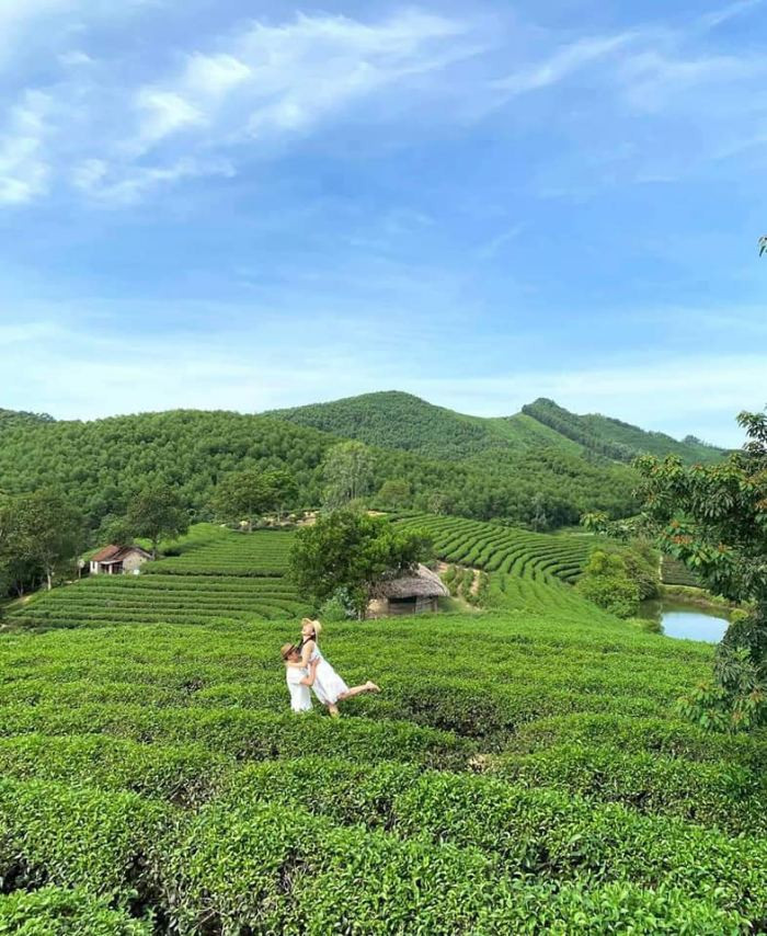 Khung cảnh thơ mộng ở đồi chè Thanh Chương. Ảnh: Du lịch Việt Nam