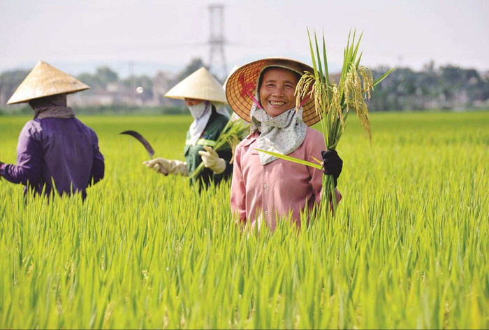 Người Nghệ thật thà chất phác. Nguồn: dbndnghean.vn&nbsp;