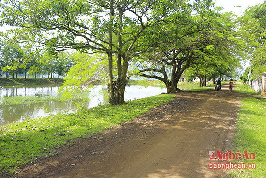 Ở Nghệ An quê Hồ Văn Cường có những hồ nước 'đẹp như tranh' dành cho chuyến picnic cuối tuần Ảnh 4