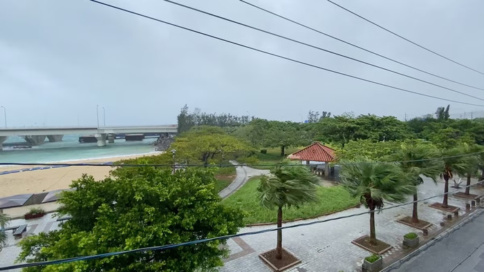 Cây cối lay động trong gió mạnh khi bão Dolphin tiến đến gần, tại Naha, tỉnh Okinawa, Nhật Bản, ngày 7 tháng 8 năm 2026, trong ảnh chụp màn hình được lấy từ một video trên mạng xã hội. (Ảnh: REUTERS)