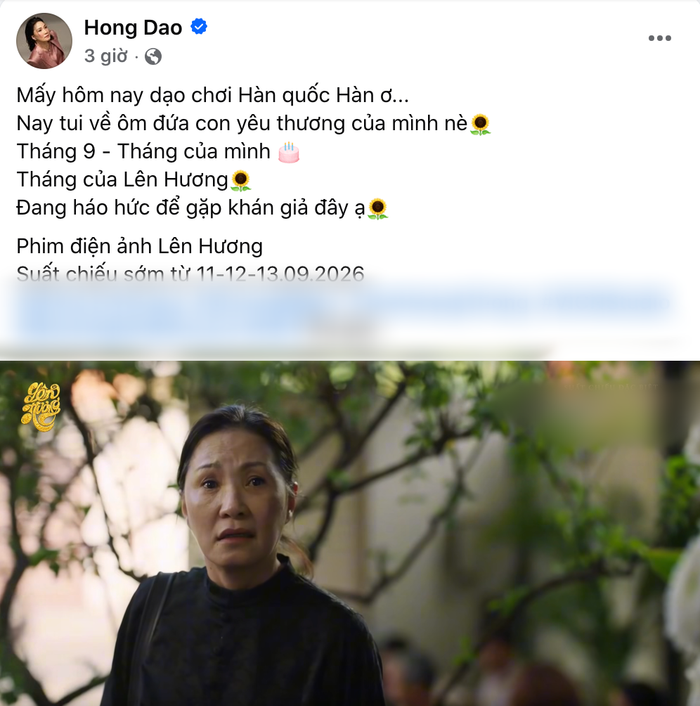 Hồng Đào chia sẻ. Ảnh: Chụp màn hình FBNV
