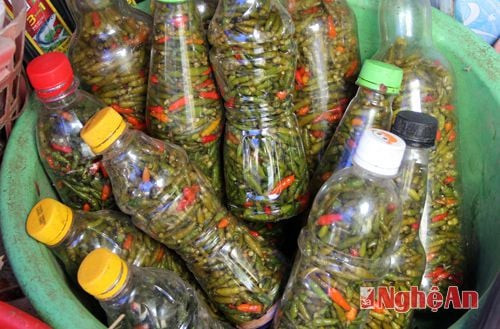 Ớt mọi - Sản vật của núi rừng xứ Nghệ. Ảnh: báo Nghệ An