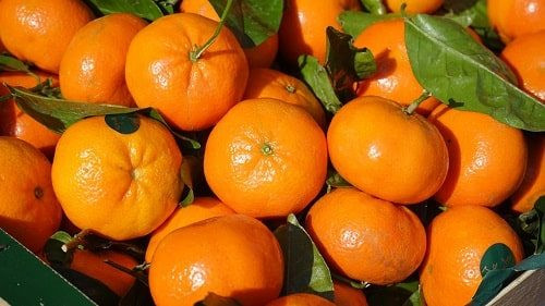 Sáng thức dậy, đừng quên 4 loại quả này Ảnh 3