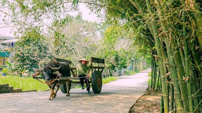 Ảnh: báo Dân Việt