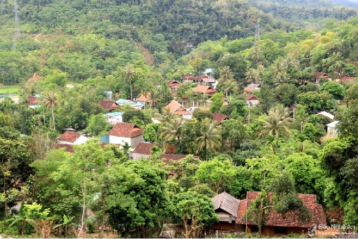 Ảnh: báo Nghệ An