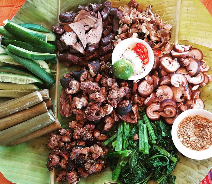 Lợn bản ở Tam Đảo. Ảnh: Sưu tầm