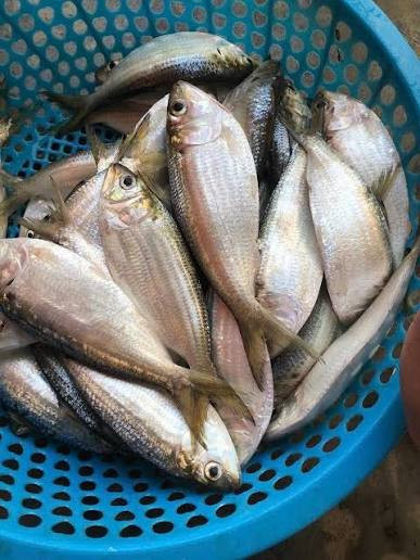 Muốn nấu cá cho bữa sáng, 3 lựa chọn này vừa dễ chế biến vừa giàu dinh dưỡng Ảnh 3