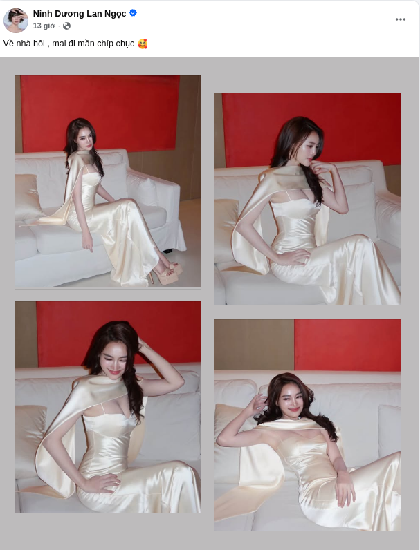 Bài đăng của Ninh Dương Lan Ngọc trên trang cá nhân. Ảnh: FBNV