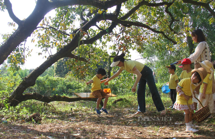 Du khách đến tham quan vườn hồng. Ảnh: báo Dân Việt