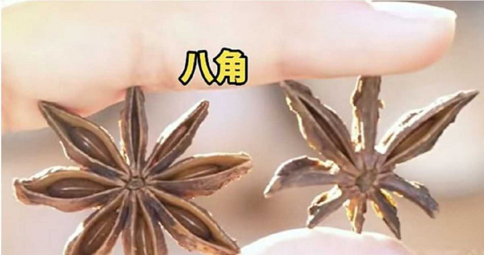 Đứa trẻ đếm hoa hồi và phát hiện điều bất thường, cả gia đình giật mình Ảnh 2