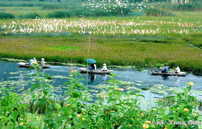 Ảnh: Trung tâm xúc tiến du lịch Ninh Bình