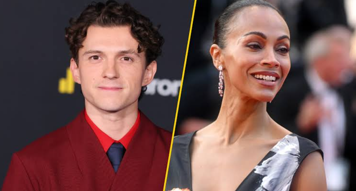 Từ Peter Parker của MCU, Tom Holland từng bước trở thành một trong những gương mặt gắn với nhiều dự án có sức hút thương mại lớn tại Hollywood.