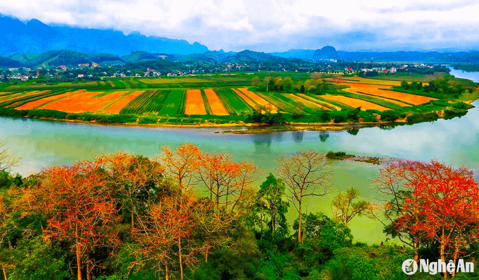 Vẻ đẹp Vườn quốc gia Pù Mát. Ảnh tư liệu: Quang Dũng/báo Nghệ An