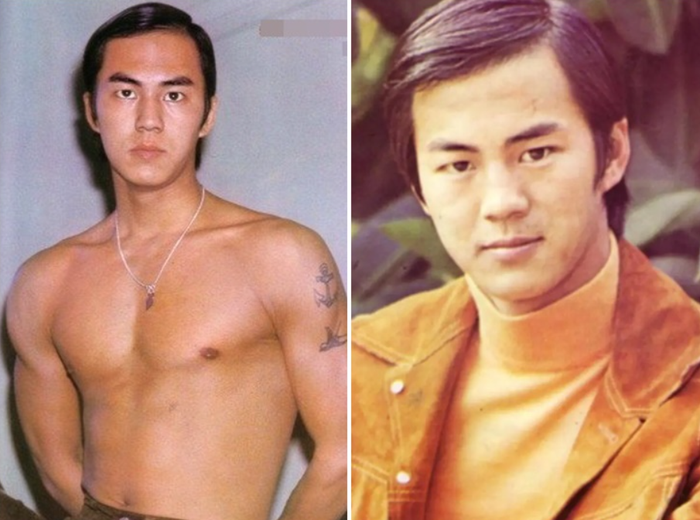 Địch Long là gương mặt tiêu biểu của thời kỳ hoàng kim phim võ hiệp Hồng Kông, gắn với hình tượng đại hiệp phong trần và những tác phẩm kinh điển của Shaw Brothers.