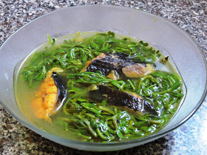 Cá trê nấu canh rau đắng.