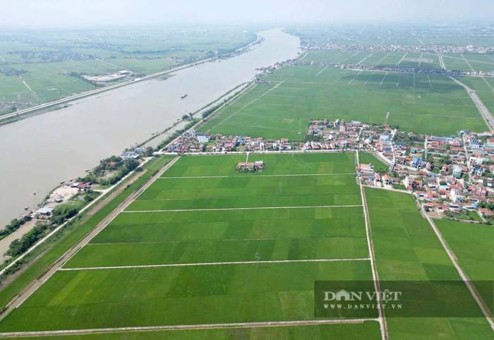 Chuyện lạ Ninh Bình, 'cả làng' chỉ 4 ngôi nhà nằm lọt thỏm giữa đồng lúa mênh mông đẹp hơn phim Ảnh 6