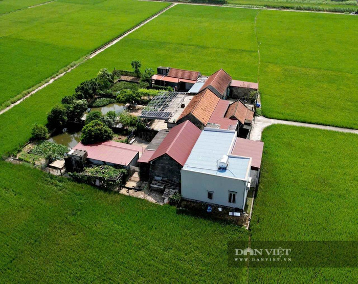 Cận cảnh những ngôi nhà mái đỏ, xanh nằm độc lập giữa cánh đồng. Ảnh: VT
