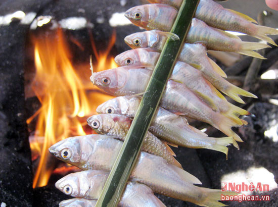 Cá bống suối nướng trên bếp than. Ảnh: báo Nghệ An