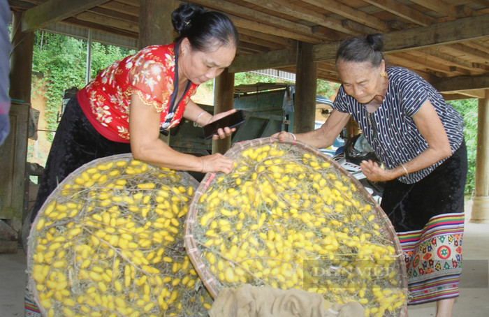 Công việc thường ngày của bà con miền Tây Nghệ An. Ảnh: Dân Việt