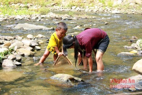 Người dân đi bắt cá suối. Ảnh: báo Nghệ An