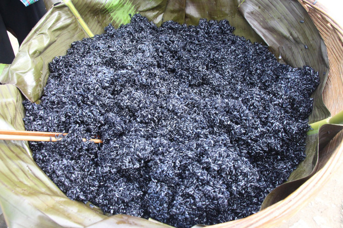 Món xôi đen Tam Đảo. Ảnh: Sưu tầm