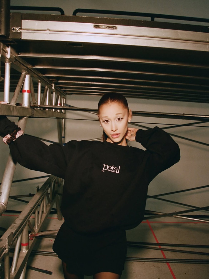 'hate that i made you love me' thành công nhất sự nghiệp Ariana Grande Ảnh 4