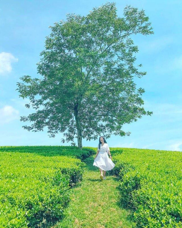 Cảnh đẹp ở Quỳ Hợp. Ảnh: Sưu tầm