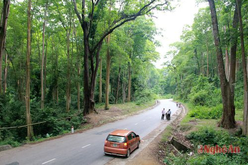 Ảnh: báo Nghệ An