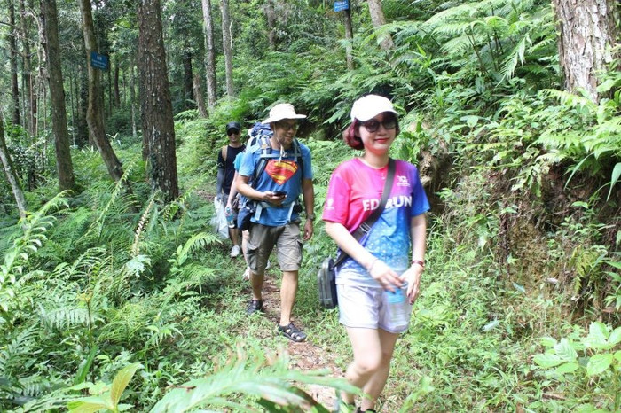 Với cảnh quan thiên nhiên đẹp, khí hậu trong lành, Vườn Quốc gia Tam Đảo thu hút nhiều du khách tới tham quan, trải nghiệm. Ảnh: Kim Ly