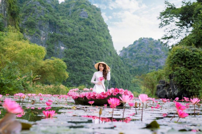 Hoa súng ở Thung Nắng Ninh Bình. Ảnh: Sưu tầm