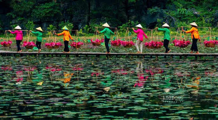 Ảnh: báo Lao Động