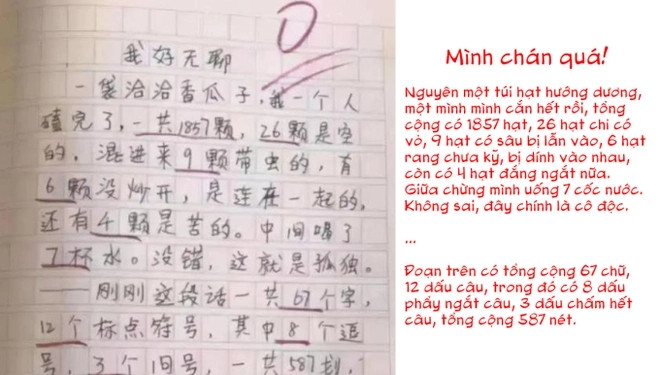 Bài văn khá hài hước đã bị giáo viên chấm 0 điểm.