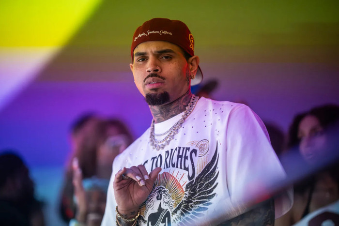 Chris Brown đối mặt nguy cơ mất 12,9 triệu USD Ảnh 1